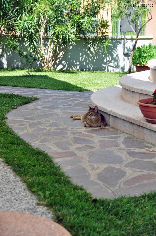 Villa Chiara Lazise Ngoại thất bức ảnh